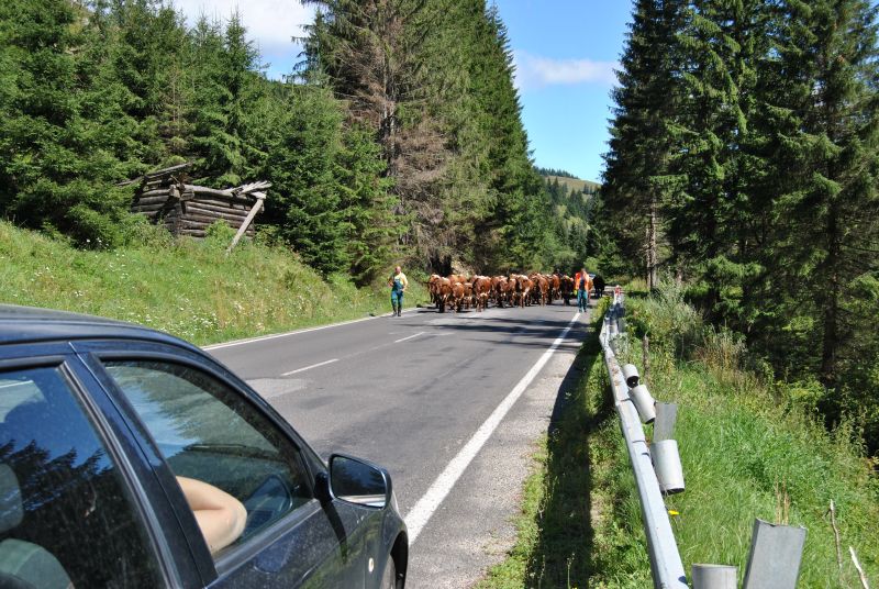 pepajs.cz